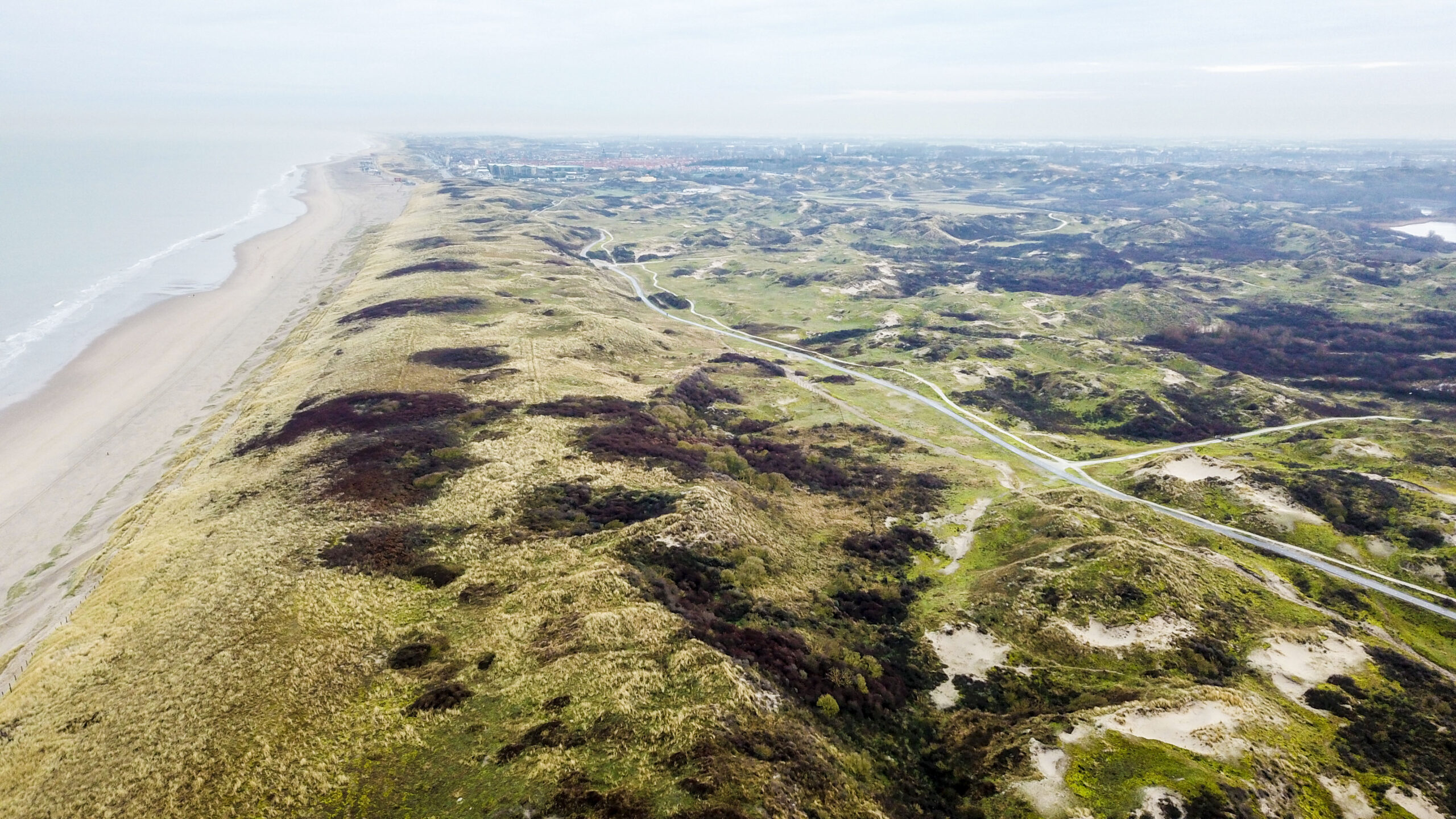 Luchtfoto van het duingebied Berkheide